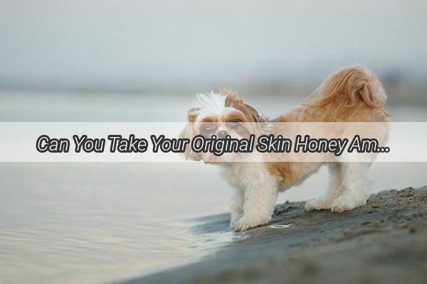 Can You Take Your Original Skin Honey Amber Dog Along Discover the Charm and Convenience